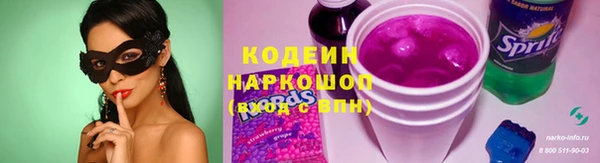 дурь Лабытнанги