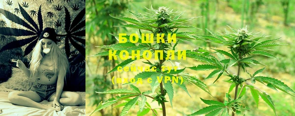 дурь Лабытнанги