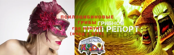 дурь Лабытнанги