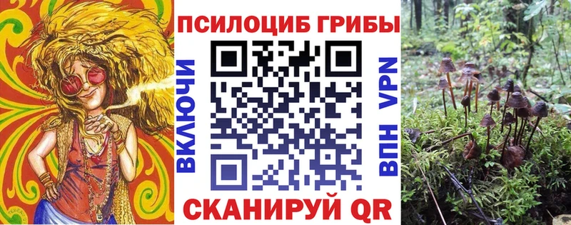 Псилоцибиновые грибы ЛСД  Купить закладки  Томилино