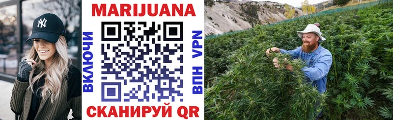 Конопля SATIVA & INDICA  Купить где  Томилино 